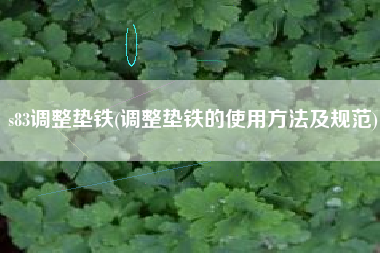 s83<a href='http://www.chuweixin.cn/jichuangdiantiexilie/' target='_blank' title='調(diào)整墊鐵' ><strong>調(diào)整墊鐵</strong></a>(調(diào)整墊鐵的使用方法及規(guī)范)